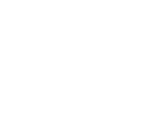 KNI Logo Icon White